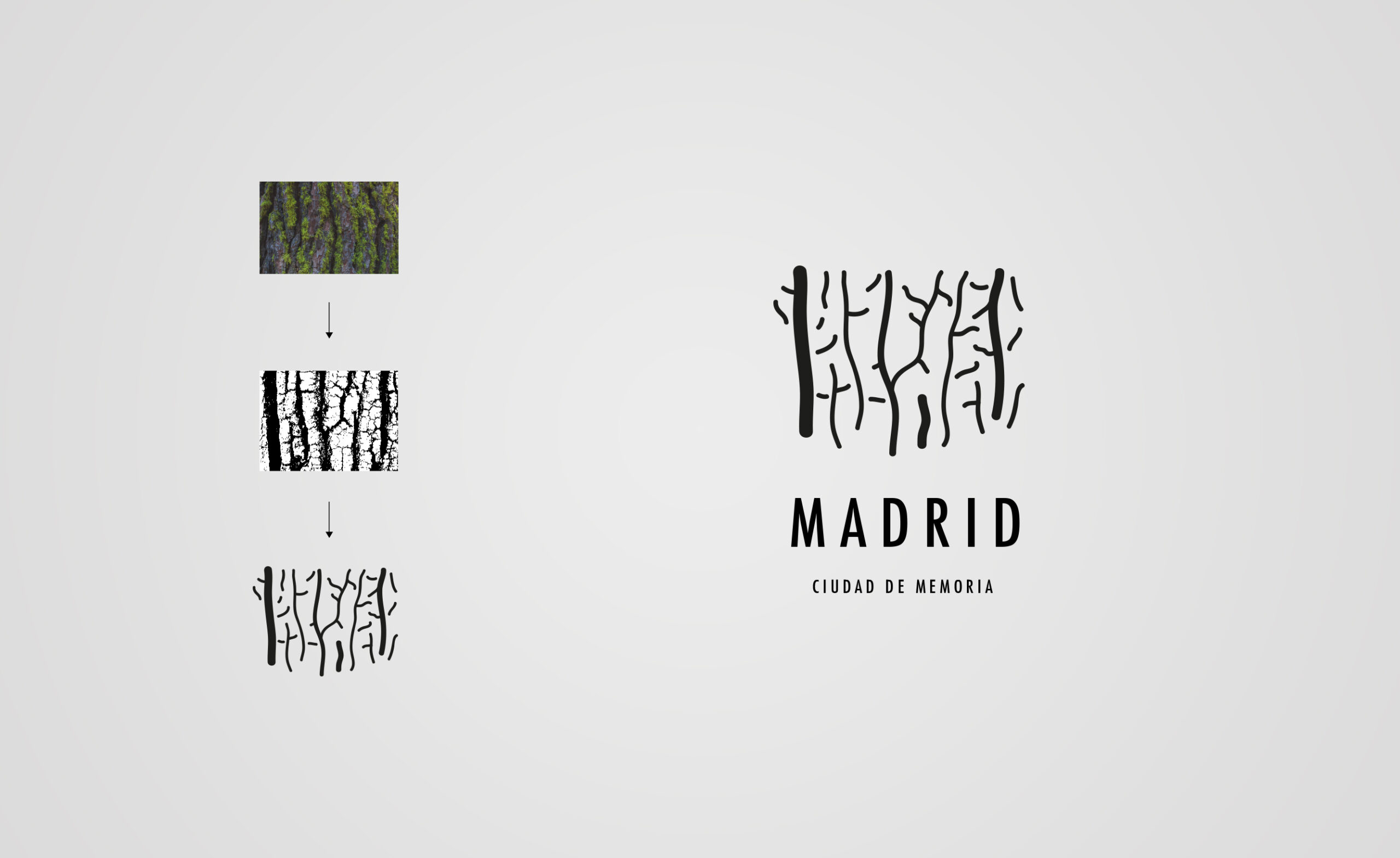 Madrid City Council: branding and design